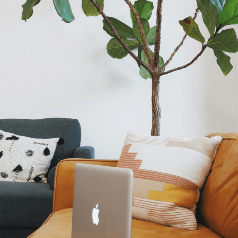 688d4a05a4ae6_joyful-64kXttDapcY-unsplash_1.43_1